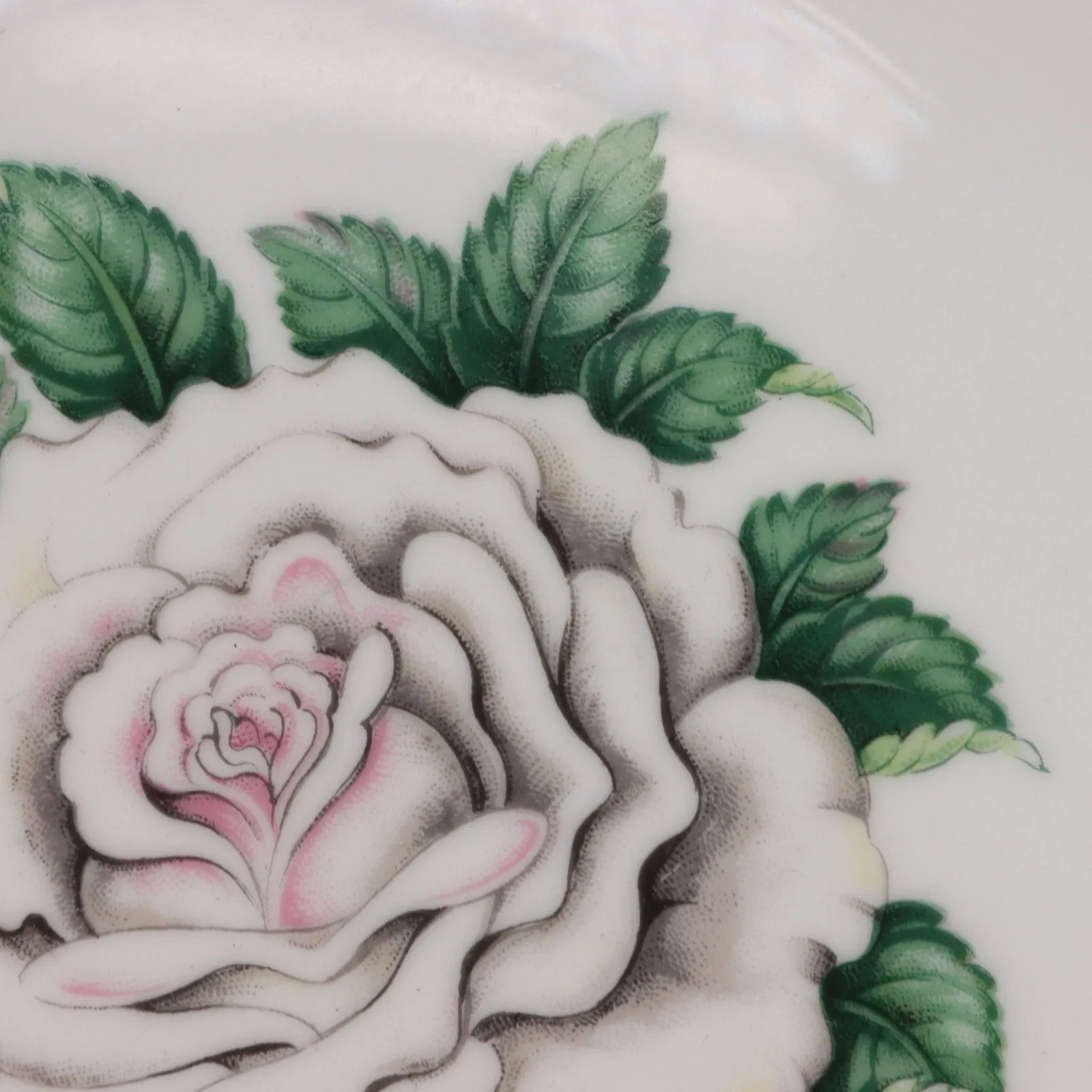 Kings Court White Rose Dinner plate 10 1/4" Vintage China 1960's